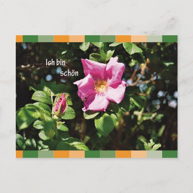 Postal Ich bin schoen (Anverso)