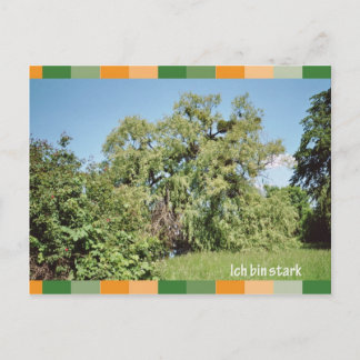 Postal Ich bin stark