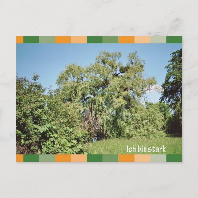 Postal Ich bin stark (Anverso)