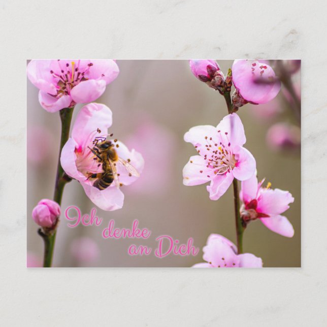 Postal ¡Ich denke an Dich! (Anverso)