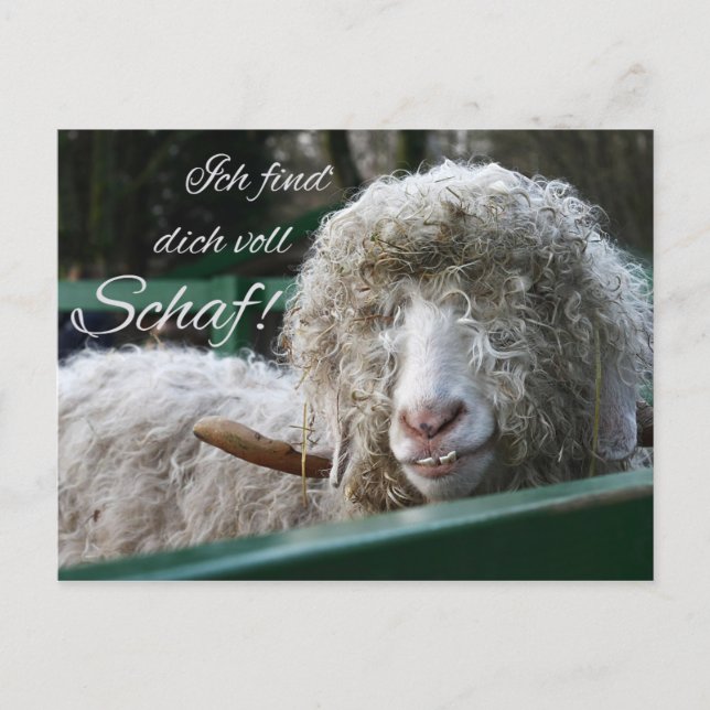 Postal ¡Ich find's dich voll Schaf! (Anverso)