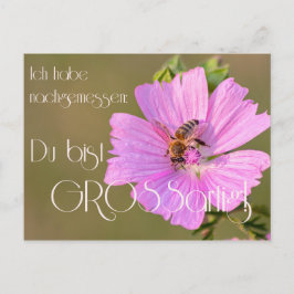 Postal Ich habe nachgemessen: ¡Du bist großartig!