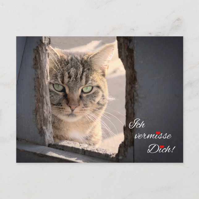 Postal ¡Ich vermisse Dich! (Anverso)