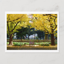 Postal Icho Namiki (avenida Ginkgo): Tokio, Japón