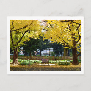 Postal Icho Namiki (avenida Ginkgo): Tokio, Japón