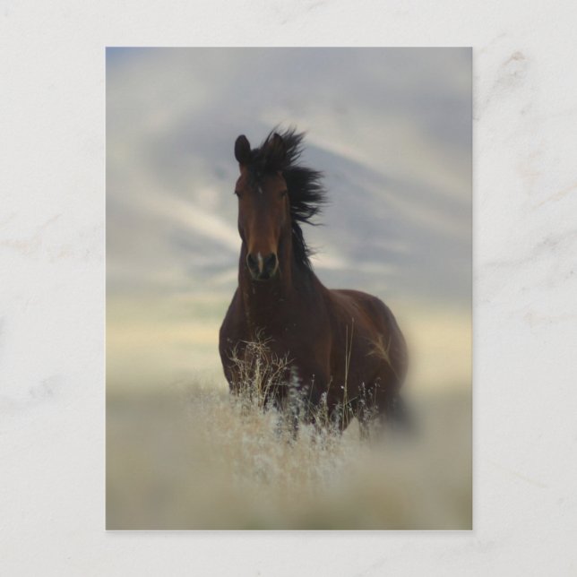 Postal icónica (Anverso)