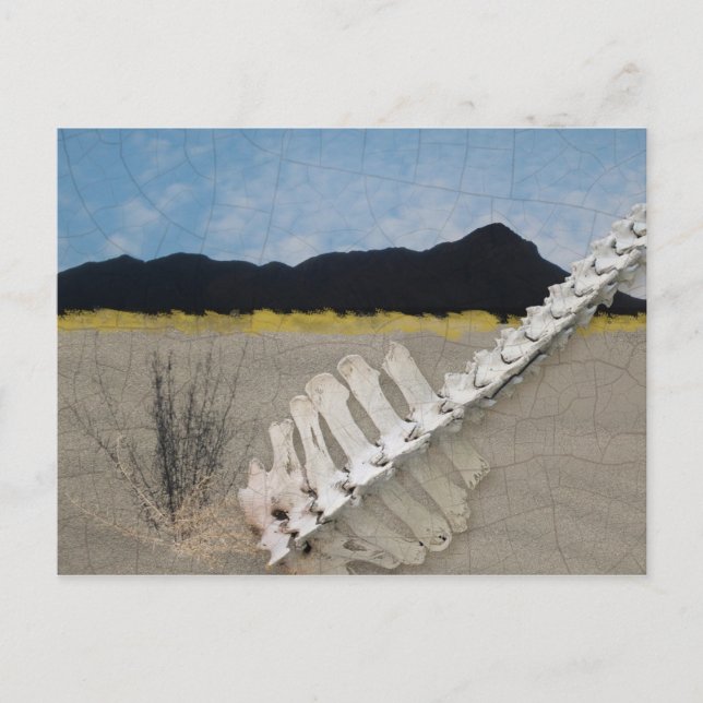 Postal Icónica del desierto al estilo de Georgia O'Keeffe (Anverso)