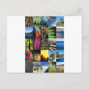 Postal Icónicas escenas de la naturaleza neozelandesa de 