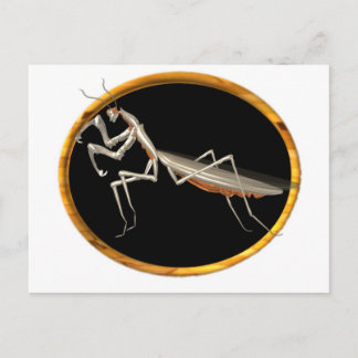 Postal Icono de la naturaleza de la mantis de presa de Va