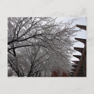 Postal Icy Delmar Loop