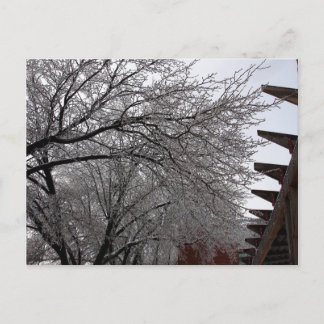 Postal Icy Delmar Loop