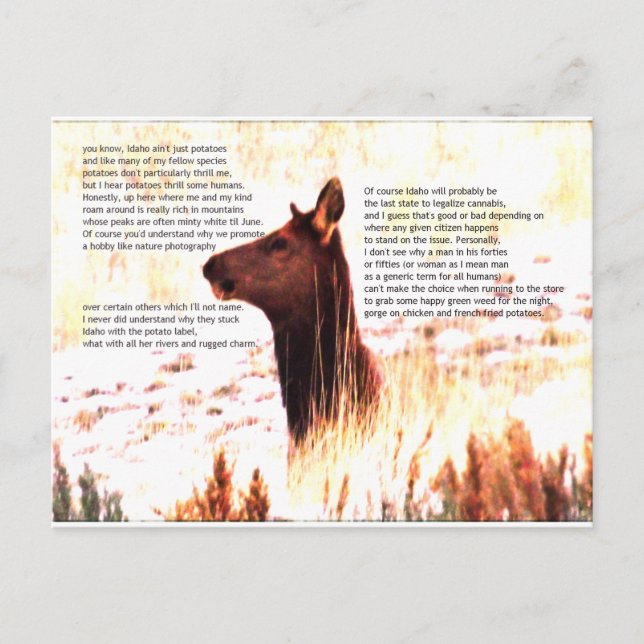 Postal idaho no es solo papas (Anverso)