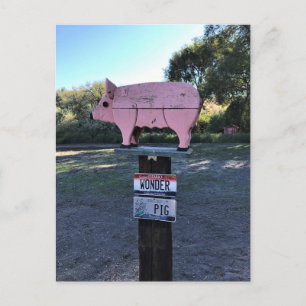 Postal Idaho Wonder Pig, Gracioso