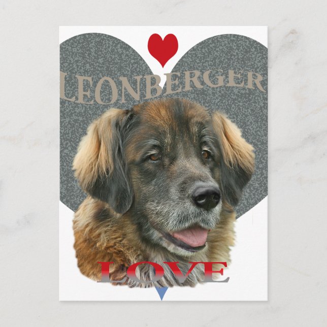 Postal Ideas de regalo de amor de Leonberger (Anverso)