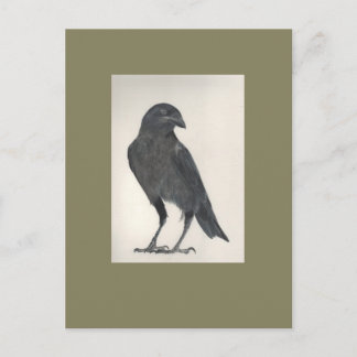 Postal Identificador de L'oiseau