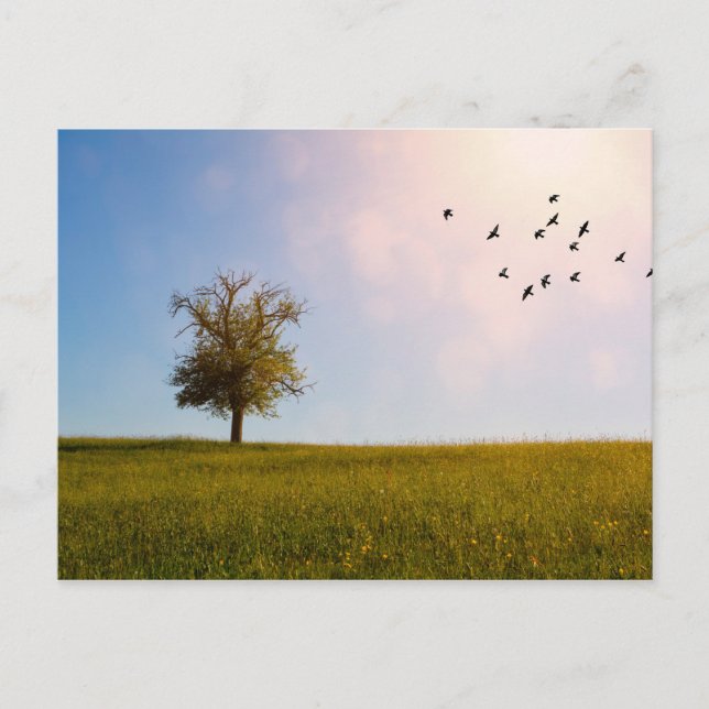 Postal Idilio campestre (Anverso)