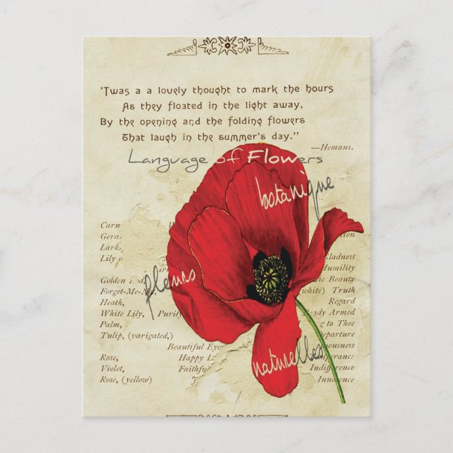 Postal Idioma victoriano de las flores (Anverso)