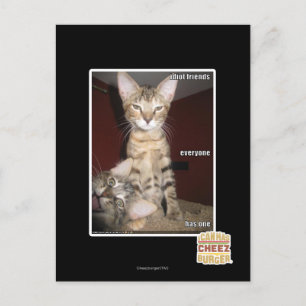 Postal Idiotas amigos