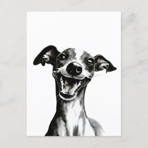 Postal Iggy negro y blanco   Grasa de Greyhound italiano