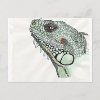 Postal Iguana
