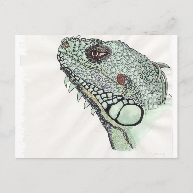 Postal Iguana (Anverso)