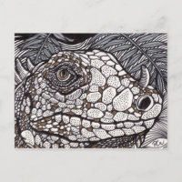 Iguana enojada