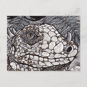 Postal Iguana enojada