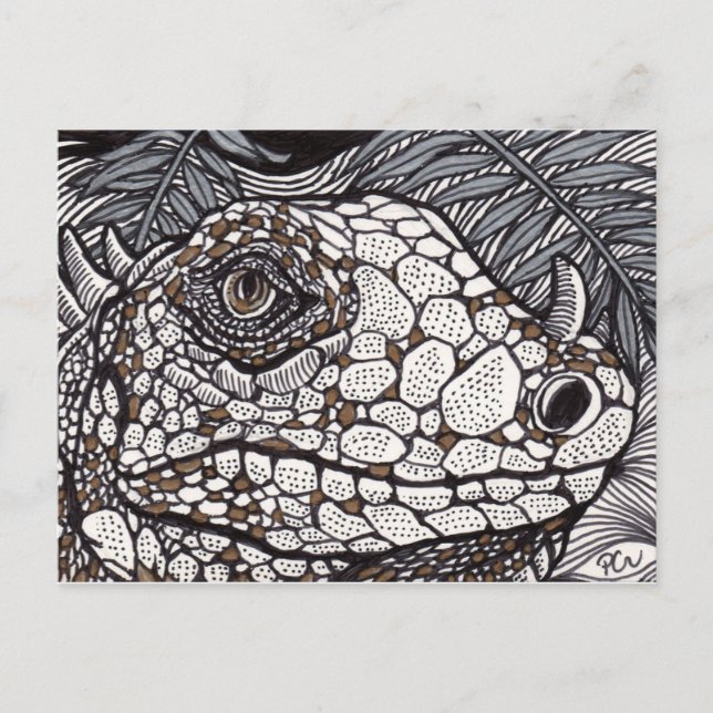 Postal Iguana enojada (Anverso)