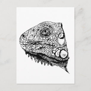 Postal iguana verde