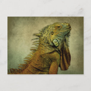 Postal Iguana verde