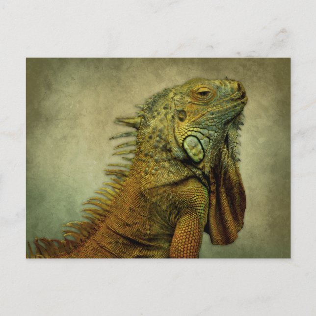 Postal Iguana verde (Anverso)