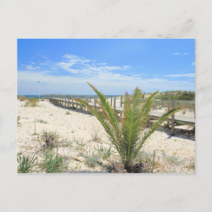 Postal Ilha de Tavira