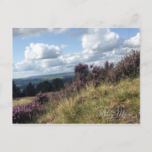 Postal Ilkley Moor Postcard (Anverso)