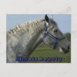 Postal Illinois Beauty
