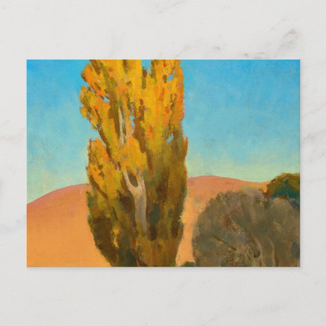 Postal Iluminación cambiante en un álamo, 1930 por Maynar (Anverso)