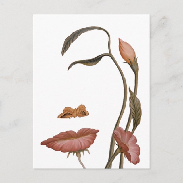 Postal Ilusión de flor facial (Anverso)