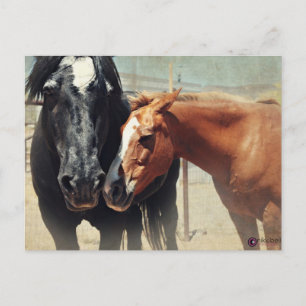 Postal Ilusión y precipitación