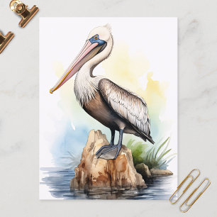 Postal Ilustracion acuático de un pelícano