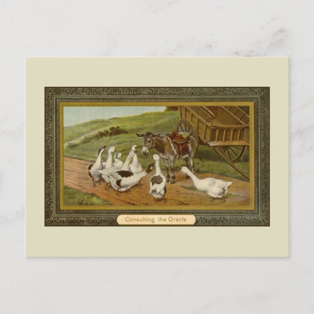 Postal Ilustracion animal de época Consultar el Oracle (Anverso)