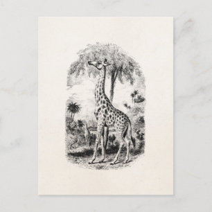 Postal Ilustracion animal personalizado de la jirafa de é