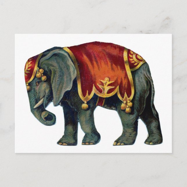 Postal Ilustración antigua del elefante de circo (Anverso)