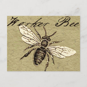Postal Ilustración Antigüedad Insecto Abeja Obrera Vintag