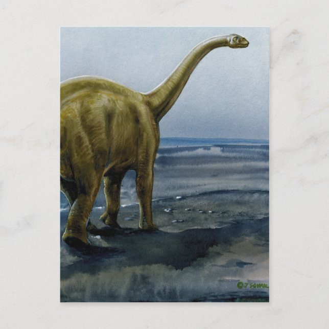 Postal Ilustracion Apatosaurus (Brontosaurus) (Anverso)