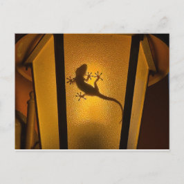 Postal Ilustración Artística de Lagarto
