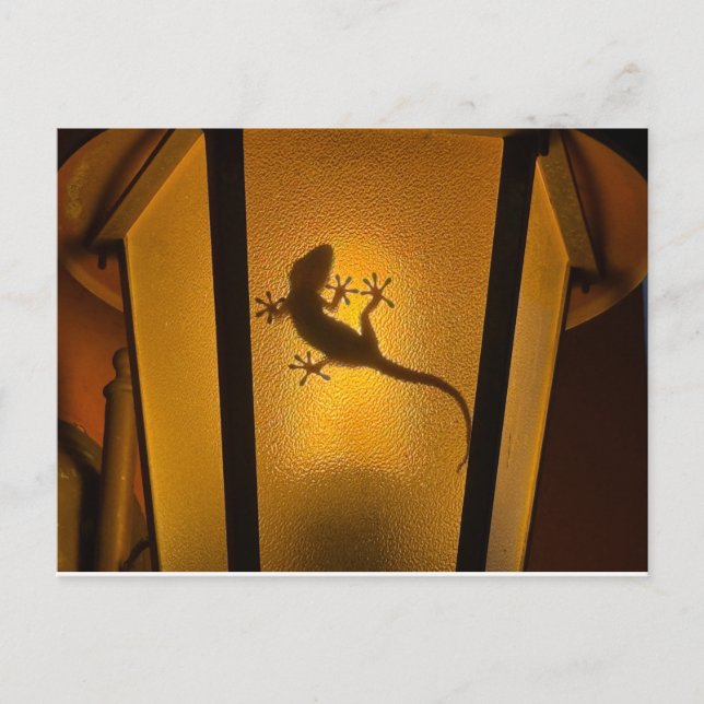 Postal Ilustración Artística de Lagarto (Anverso)