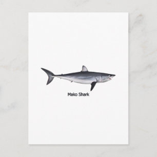 Postal Ilustracion Atateo Mako Shark