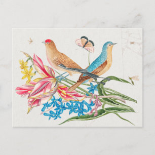 Postal Ilustracion Aves Vintage