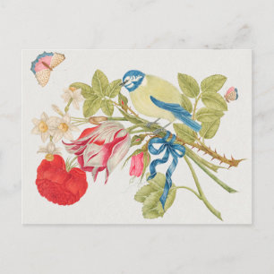 Postal Ilustracion Aves Vintage