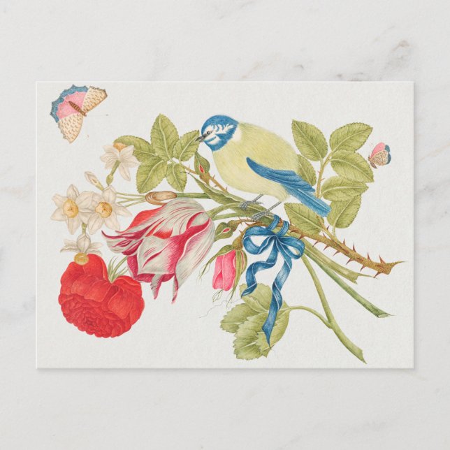 Postal Ilustracion Aves Vintage (Anverso)