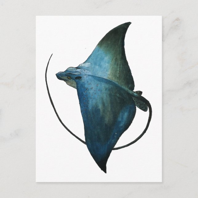 Postal Ilustracion azul Stingray (Anverso)